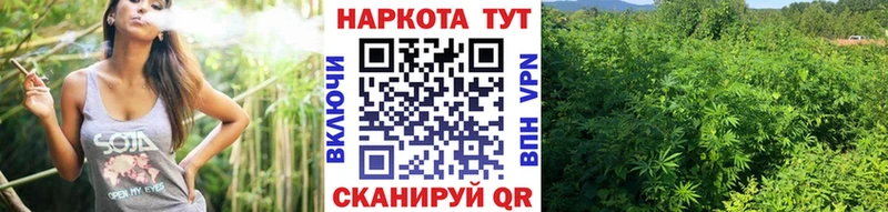  Кокаин Удомля