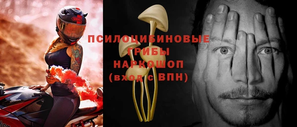 PSILOCYBIN Балахна