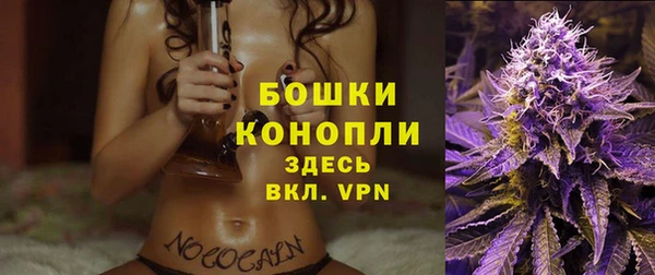 PSILOCYBIN Балахна