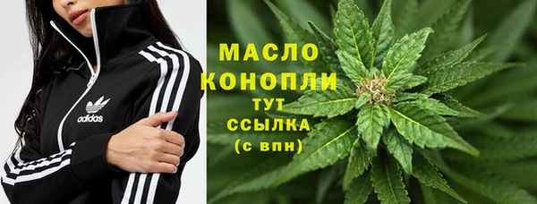 PSILOCYBIN Балахна