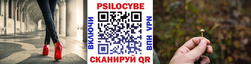 Галлюциногенные грибы Psilocybine cubensis Удомля